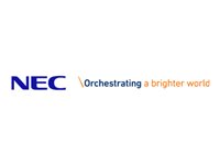 NEC Warranty Extension – contratto di assistenza esteso – 2 anni – carry in [ TT780579 ]